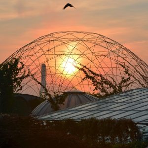 Sunset over UW Library's roof. Photo by J. Antoniak/UW