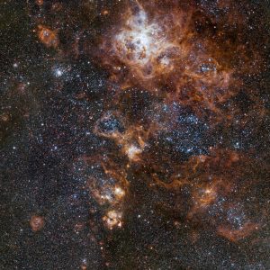 Glowing brightly about 160 000 light-years away, the Tarantula Nebula is the most spectacular feature of the Large Magellanic Cloud, a satellite galaxy to our Milky Way. This image from VLT Survey Telescope at ESO’s Paranal Observatory in Chile shows the region and its rich surroundings in great detail. It reveals a cosmic landscape of star clusters, glowing gas clouds and the scattered remains of supernova explosions. Credit: ESO.