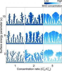 Morphologies of the dendrite forest for different surface energies and manganese ion concentrations. Source: Faculty of Physics, University of Warsaw.