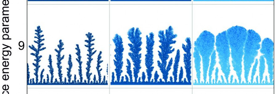 Morphologies of the dendrite forest for different surface energies and manganese ion concentrations. Source: Faculty of Physics, University of Warsaw.
