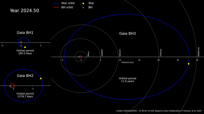 Comparison of the orbits of Gaia’s black holes (red orbit, black dot) and their companion stars (blue orbit, yellow dot). Credits: ESA/Gaia/DPAC. License: CC BY-SA 3.0 IGO