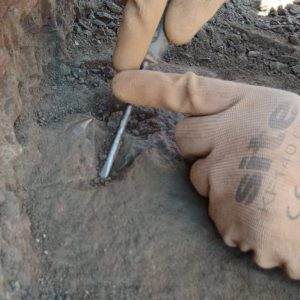 Fossils found in Miedary. Photo: Tomaz Hitij