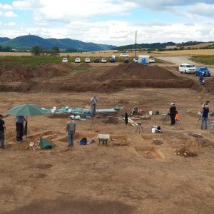Excavations at the pre-Slavic cemetery in Brücken, Mansfeld-Südharz district (Saxony-Anhalt), 2020. Source: Landesamt für Denkmalpflege und Archäologie Sachsen-Anhalt