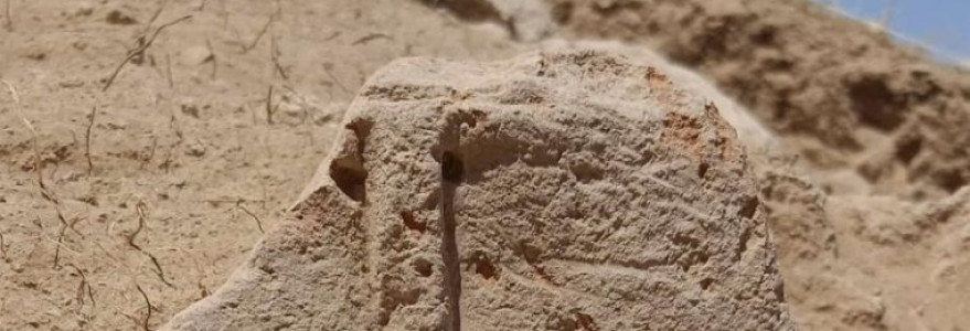 Discoveries in Argishtikhinili. Credit: Polish Centre of Mediterranean Archaeology