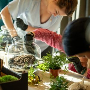 Green Day at the UW 2025. Credit: Mirosław Kaźmierczak/UW