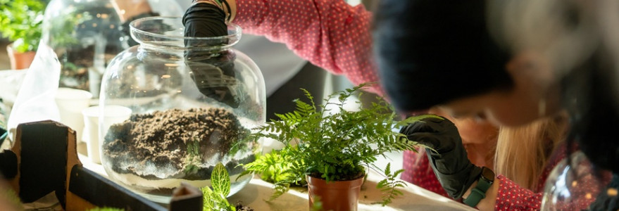 Green Day at the UW 2025. Credit: Mirosław Kaźmierczak/UW