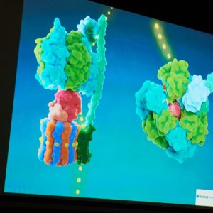 Lecture by Prof. Ben L. Feringa at the UW. Credit: Mirosław Kaźmierczak/UW