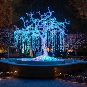 "MagicalBotanical" exhibition. Source: Lumagica Warszawa