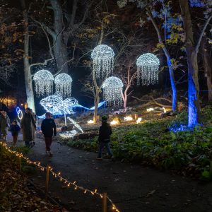 "MagicalBotanical" exhibition. Source: Lumagica Warszawa