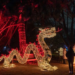 "MagicalBotanical" exhibition. Source: Lumagica Warszawa