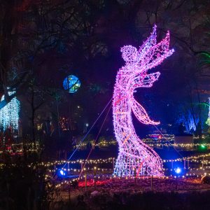 "MagicalBotanical" exhibition. Source: Lumagica Warszawa