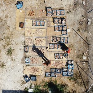 The latest excavation season at ancient Nea Paphos/UW