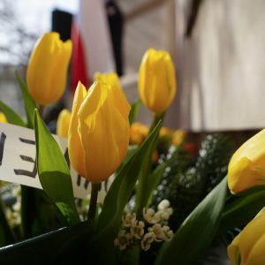 Commemoration of the 58th anniversary of the 1968 Polish political crisis at the UW. Credit: Mirosław Kaźmierczak/UW