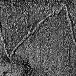 A section of one of the discovered roads. Compiled by Bartłomiej Ćmielewski